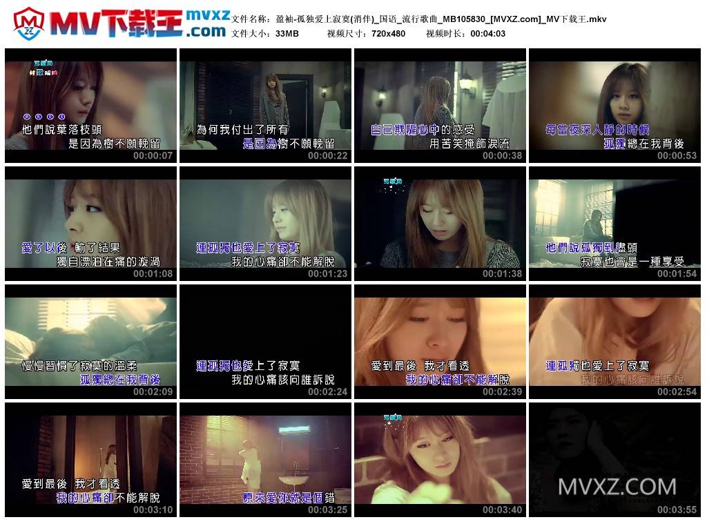 盈袖-孤独爱上寂寞(消伴)_国语_流行歌曲_MB105830